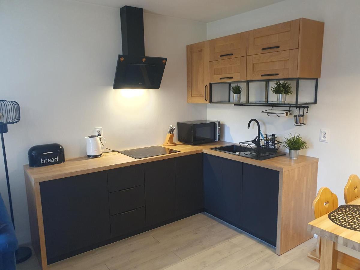 Apartament Sobiczkowa Zakopane كوشتيليسكا المظهر الخارجي الصورة
