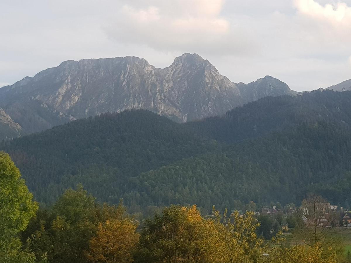 Apartament Sobiczkowa Zakopane كوشتيليسكا المظهر الخارجي الصورة